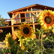Apartmány na FARMĚ WENET Apartmány na FARMĚ WENET