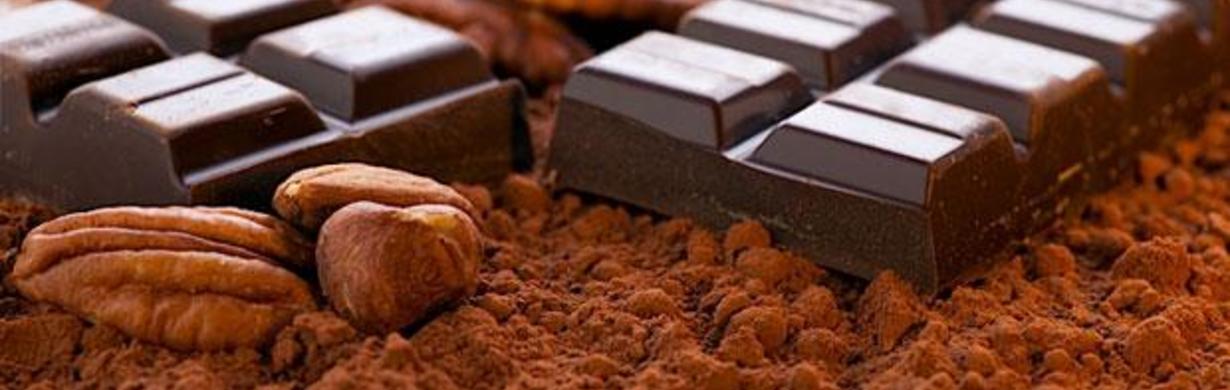 Degustace českých čokolád