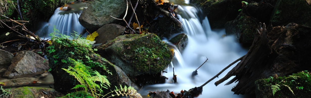 Léto 2024 v Kladském pomezí Léto 2024 v Kladském pomezí