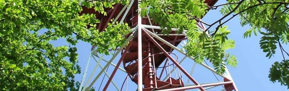 Demolice původní rozhledny Žaltman už proběhla Demolice původní rozhledny Žaltman už proběhla