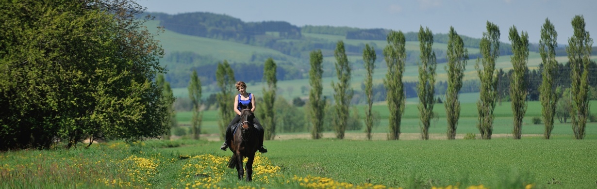 Kladské pomezí připravilo nové marketingové aktivity na podporu aktérů v cestovním ruchu Kladské pomezí připravilo nové marketingové aktivity na podporu aktérů v cestovním ruchu