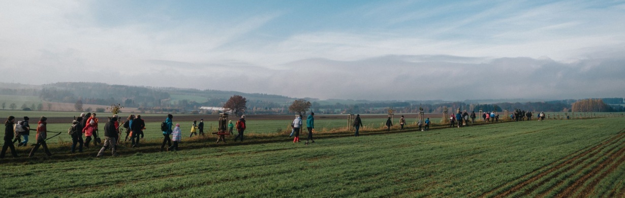 Alej Ostašinka se rozrostla o dalších 50 stromů Alej Ostašinka se rozrostla o dalších 50 stromů
